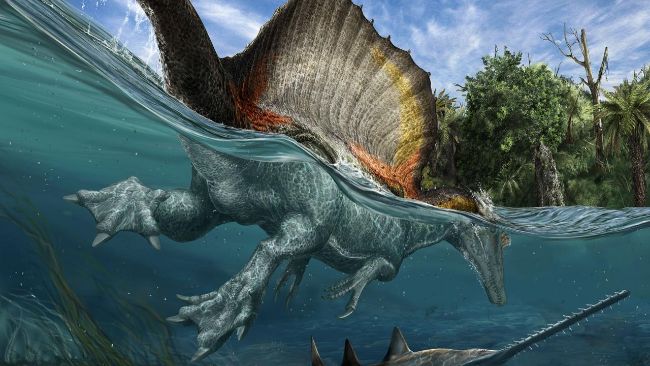 Yüzdüğü kesin olarak bilinen Spinosaurus sadece balık avlardı.