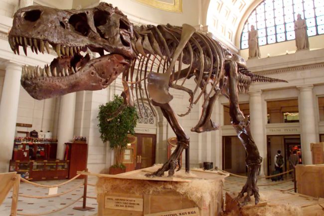 En bilinen dinozor türleri Tiranozor