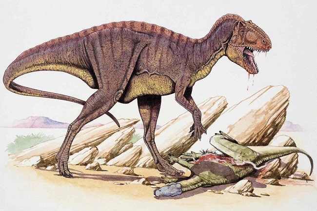 2-Dinozorların 150 milyon yıllık başarısı