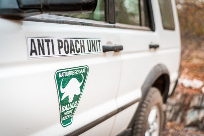 Güney Afrika, Kruger Ulusal Parkı'nda kaçak avlanma önleme birimleri görev alır.