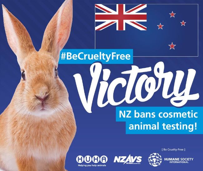 yeni zelanda'nın kozmetik hayvan testini yasaklaması