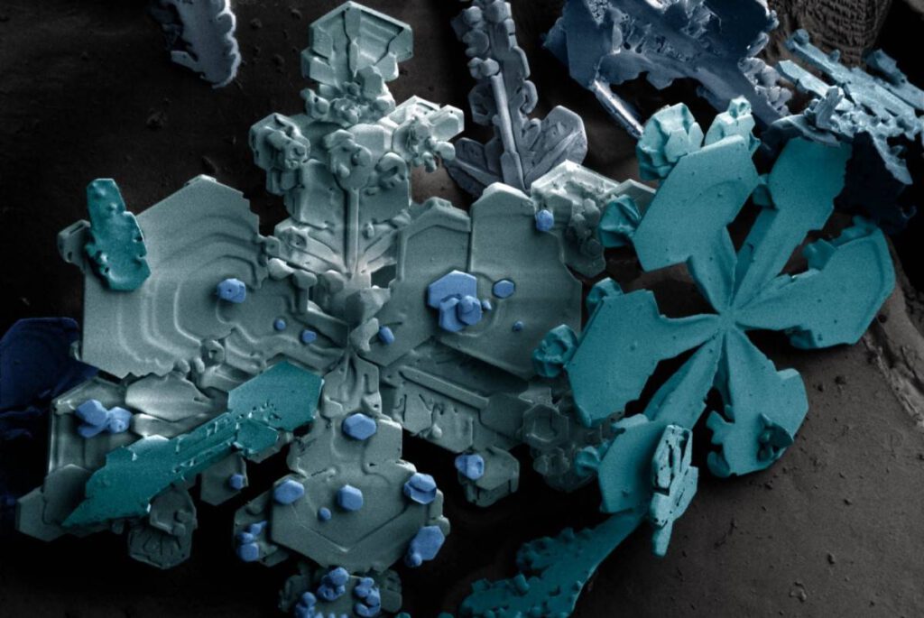 kar nasıl oluşur? Düşük sıcaklık taramalı elektron mikroskobu (SEM) ile görüntülenen kar taneleri.