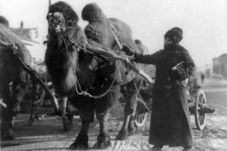 tarihteki en ünlü kadın kaşifler ve gezginler