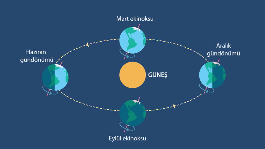 ekinokslar ve gundonumleri