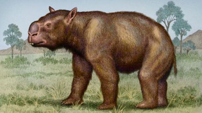 vombat akrabası diprotodon