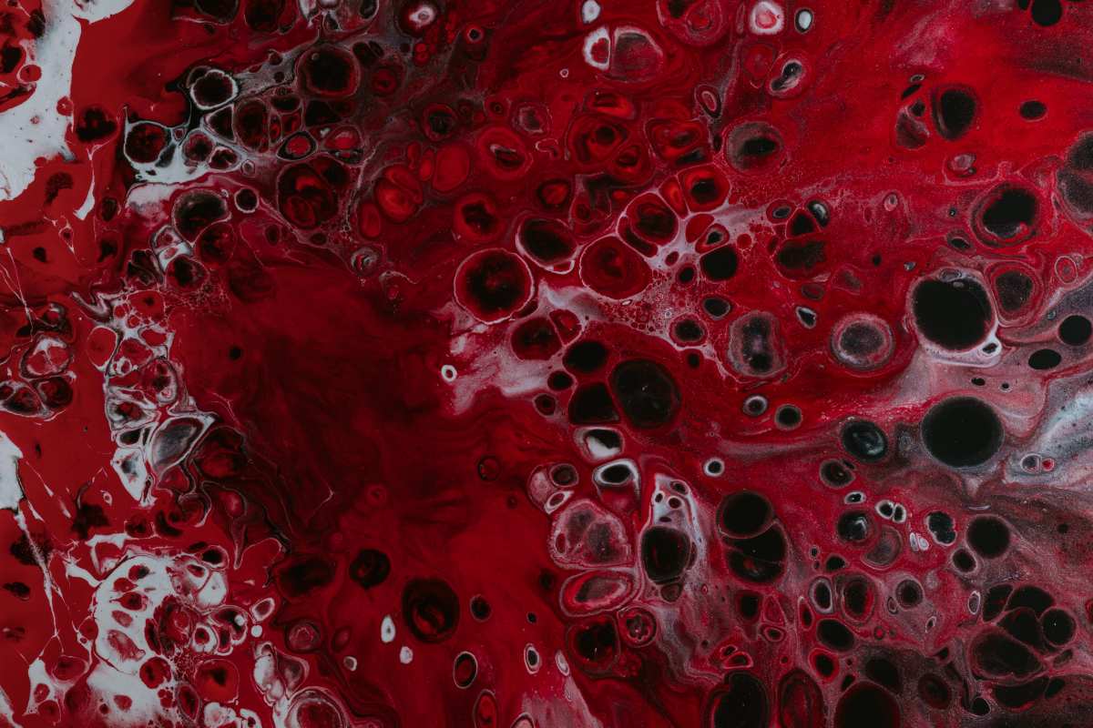 kanın görüntüsü