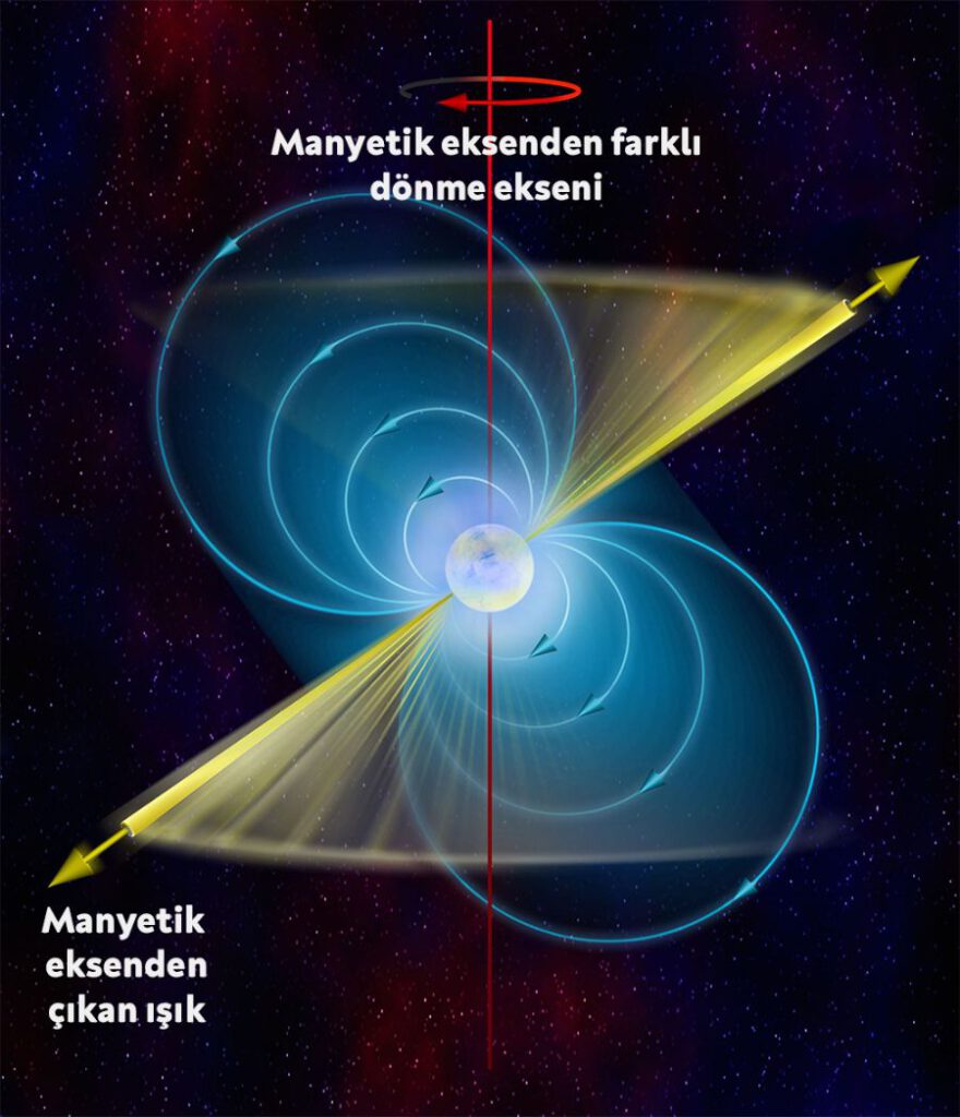 Ölü nötron yıldızı gibi pulsarın da bir ışığı yok ancak çok hızlı dönmesi manyetik alanın dar bir ışık oluşturmasını sağlıyor.