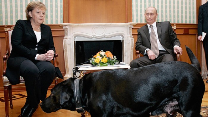 Merker'in köpeklerden korktuğunu bilen Putin 2007 görüşmelerinde labrador köpeği Konni'yi kullanır. Merker olayla ilgili olarak "Bunu neden yaptığını anlıyorum --- erkek olduğunu kanıtlamak için. ... O kendi zayıflığından korkuyor." demiştir.