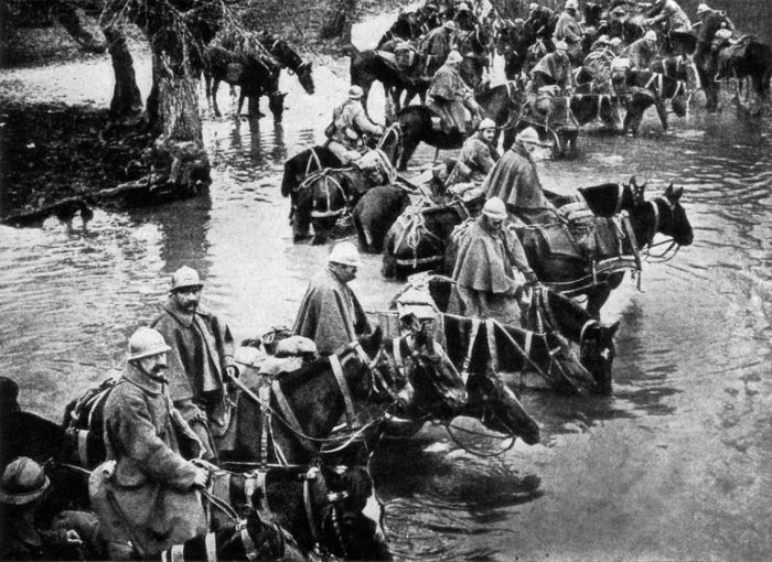 Fransız atları Verdun'a giderken nehirde dinleniyor.