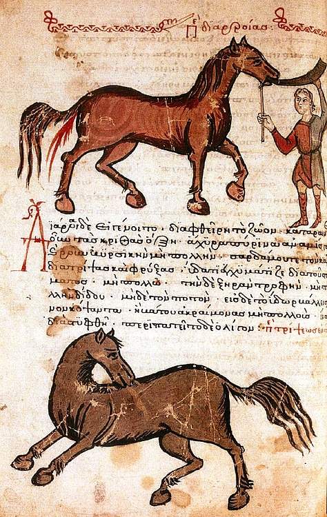 Ata solüsyon vererek ishal olmasını sağlamayı içeren 14. yüzyıla ait bir Bizans el yazması.