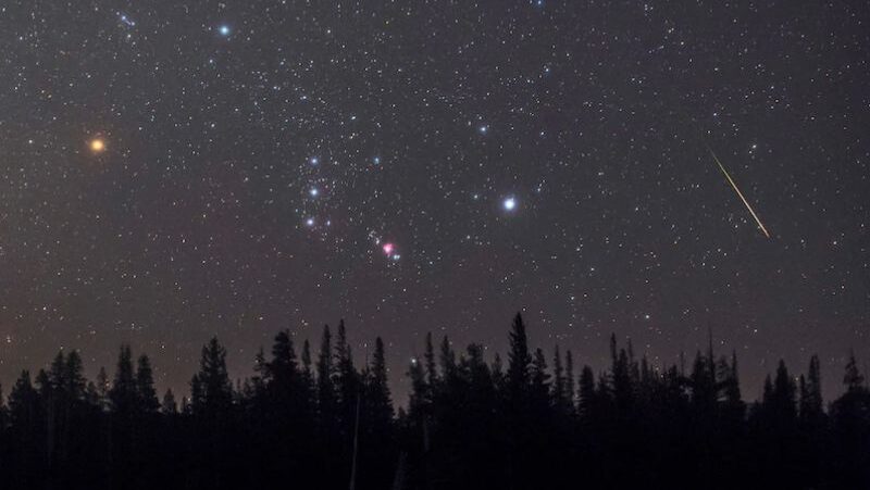 Orion takımyıldızından geçen bir meteor ve solda al rengiyle görülen Betelgeuse.