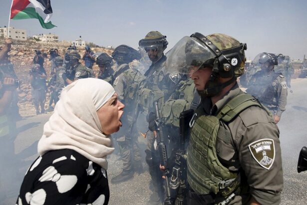 Filistinli bir kadın Batı Şeria'da bir İsrail sınır polisiyle tartışıyor.