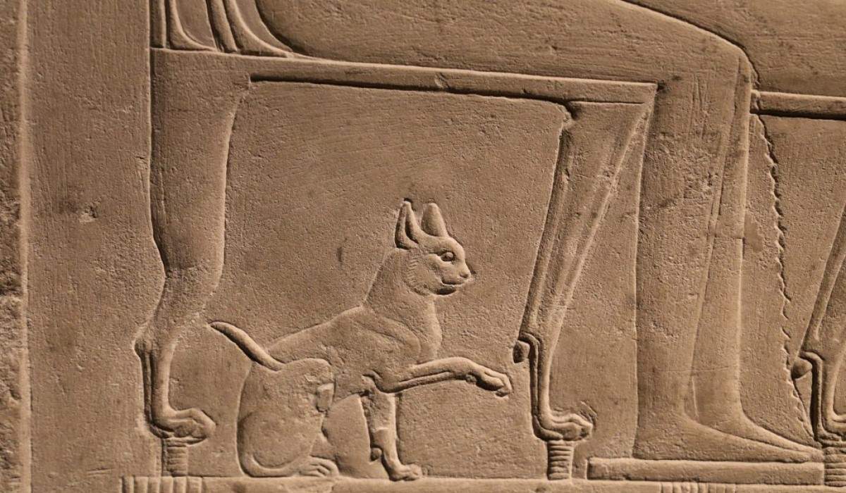 antik mısır kedi duvar sanatı