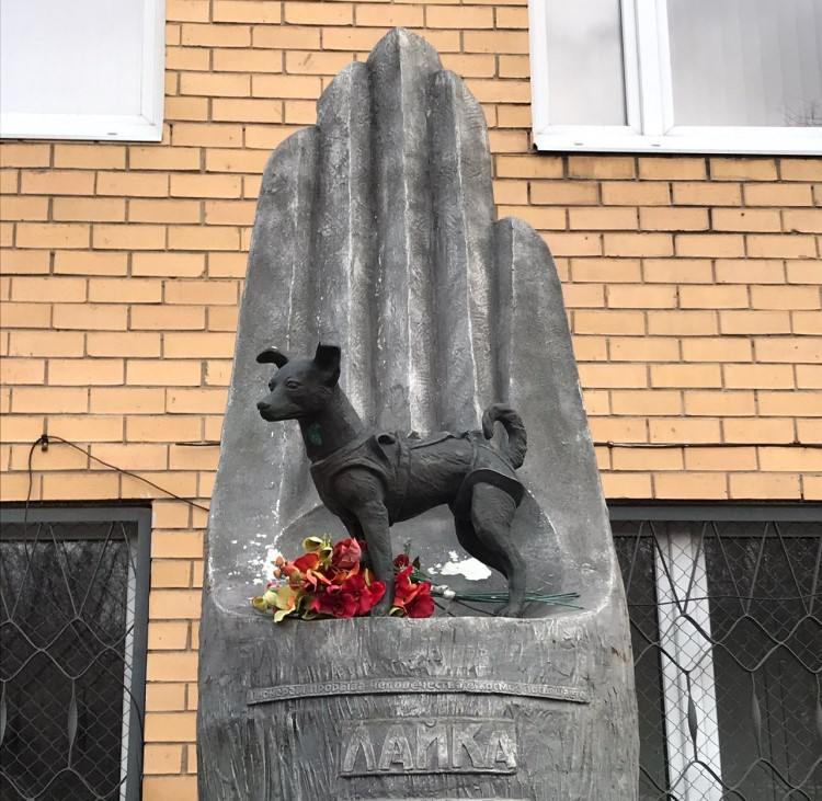 Moskova'daki Laika heykeli.