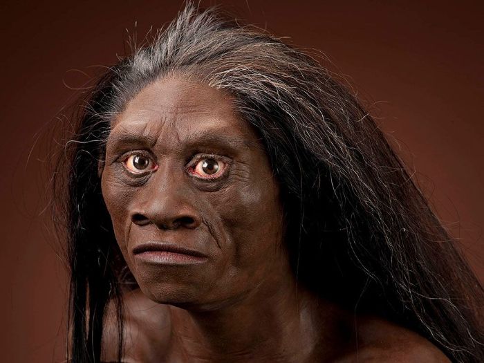 50.000 yıl öncesine kadar yaşamış olabilecek küçük bir erken insan olan Homo floresiensis'in yüz rekonstrüksiyonu.