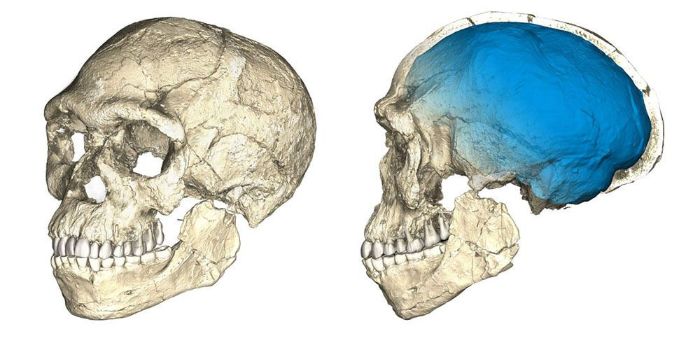en eski Homo sapiens fosilleri