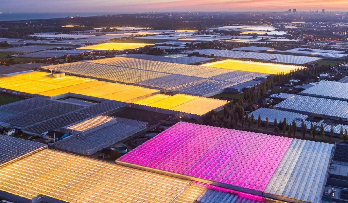 hollanda'nın tarımdaki başarısı