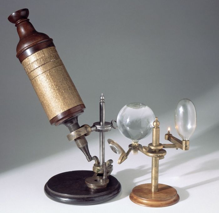 Hooke'un Micrographia adlı kitabındaki gravür ve tanımlama temel alınarak tam boyutlu oluşturulan bileşik mikroskop.