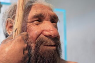 neandertal