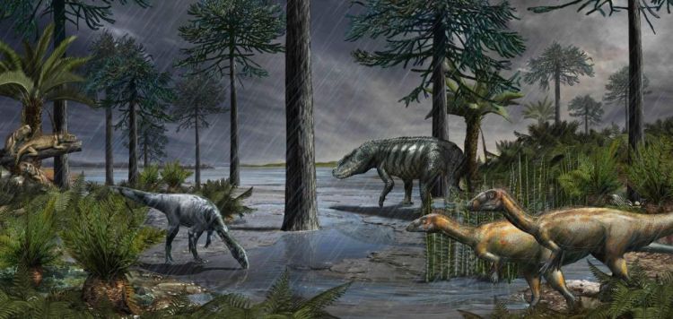 232 milyon yıl öncesinden, ardından dinozorların doğayı devraldığı Karniyen Pluvial Dönemi'nden bir yaşam sahnesi. Rauisuchian olarak bilinen büyük bir arkozor arka planda gizlenirken, iki dinozor türü ön planda durur ve soldaki kütüklerde rhynchosaurlar görülür. Çizim Arjantin'deki Ischigualasto Formasyonu'ndan elde edilen verilere dayanıyor.