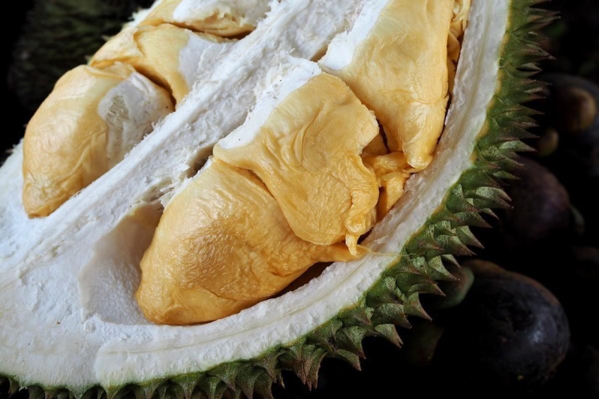 durian meyvesi