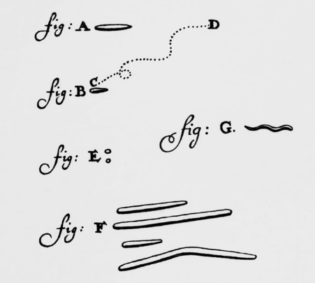 1683'te bir Leeuwenhoek mektubundan insan ağzındaki bakterilerin çizimi