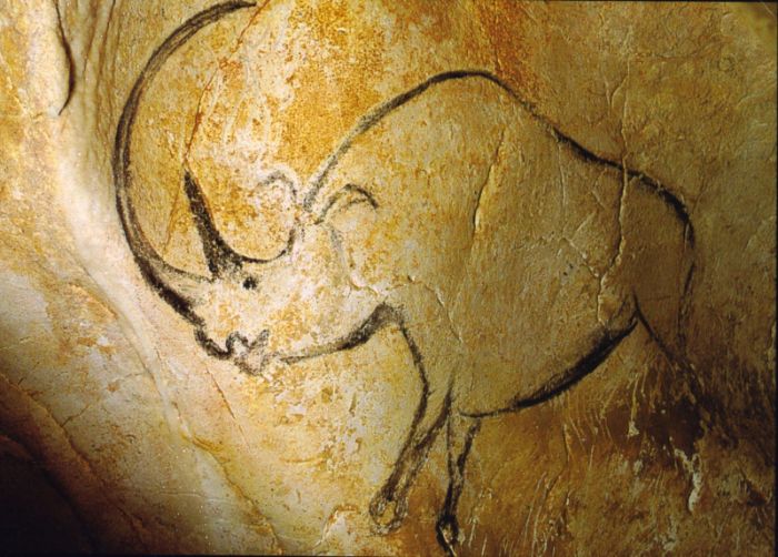 Fransa, Chauvet Mağarası'nda bulunan yünlü gergedan (Coelodonta antiquitatis) çizimi 33.000 ile 30.000 yıl öncesine ait.
