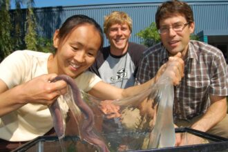 hagfish