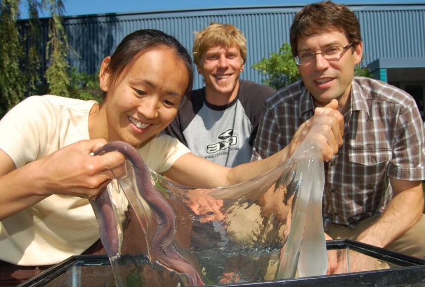 hagfish