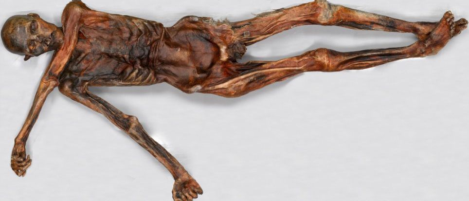 Buz Adam Ötzi'nin ölümünden binlerce yıl sonra buzdan çıkarılan bedeni.