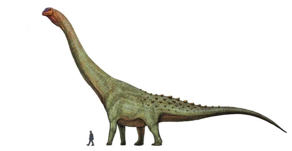 Patagotitan gibi titanozorlar en büyük kara hayvanlarıdır ancak nasıl geliştikleri hakkında çok az şey biliniyor.
