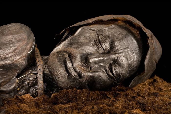 Bataklıktaki oksijensiz ortamda korunmuş Tollund Adamı mumyası Danimarka'da bulundu.