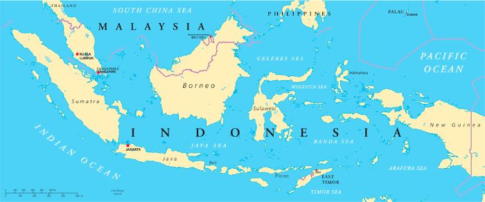 Endonezya haritası