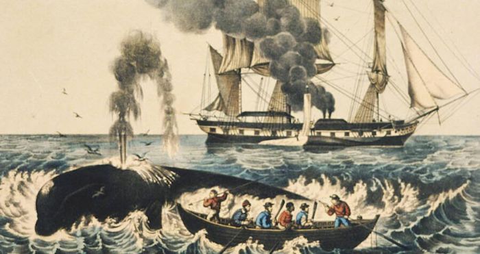 Moby Dick'in temel aldığı Essex gemisi, intikam peşindeki bir balina tarafından batırıldı.
