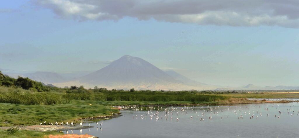 Natron Gölü, 2,5 milyon Küçük Flamingo'ya ev sahipliği yapıyor. Arkada Ol Doinyo Lengai yanardağı.