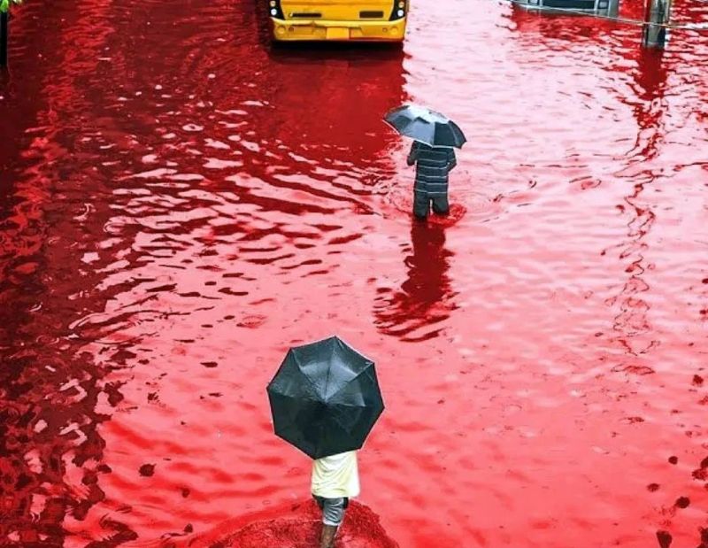 2001, Kerala'da kırmızı yağmur.