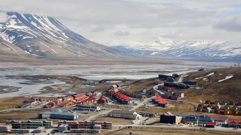 Svalbard Tohum Deposu 