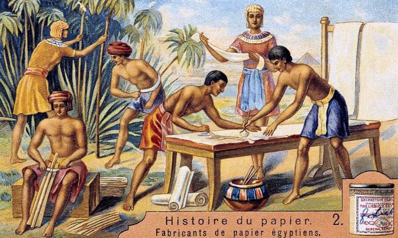 Papirüs kamışının sapı kağıt yapmak için kullanıldı. Kökü yakıt, özü ise yiyecek olarak kullanıldı.