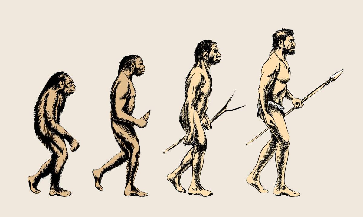 İnsan atalarında iki ayak üzerinde yürümenin tarihi