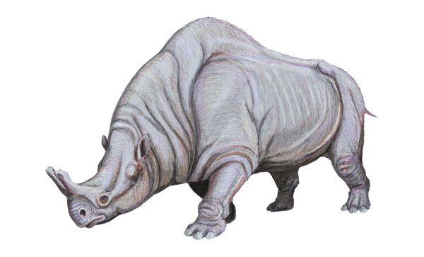 Brontotheres, Eosen sonunda soyu tükenen büyük gergedanlara benzeyen hayvanlar.