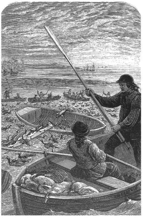 1880'de bir büyük auk av sahnesi.