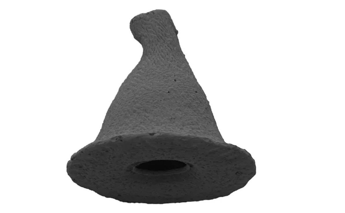 Yüzüklerin Efendisi yapımındaki Gandalf karakterinin şapkasına benzetilen bir amipin (Arcella gandalfi) taramalı elektron mikrografı (SEM) görüntüsü.
