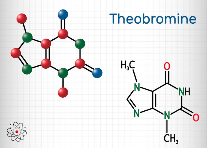 Teobromin, insan vücudu için hafif uyarıcı görevi gören acı bir alkaloid bileşiği.