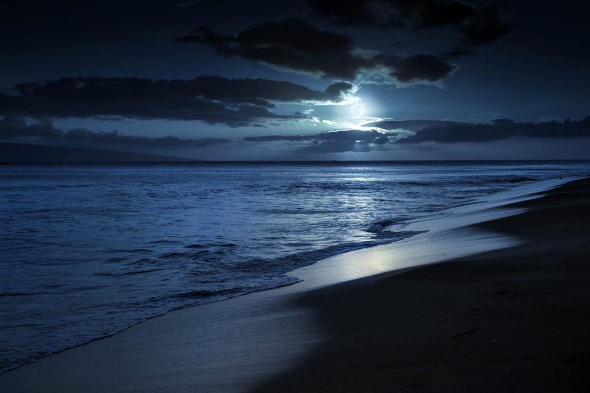 sahile vuran ay ışığı