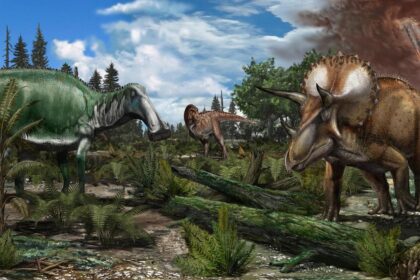 Dinozorlar Hangi Dönemde Yaşadı?