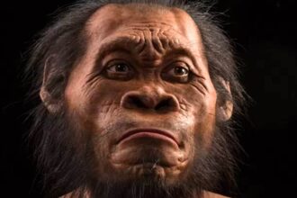 Homo naledi