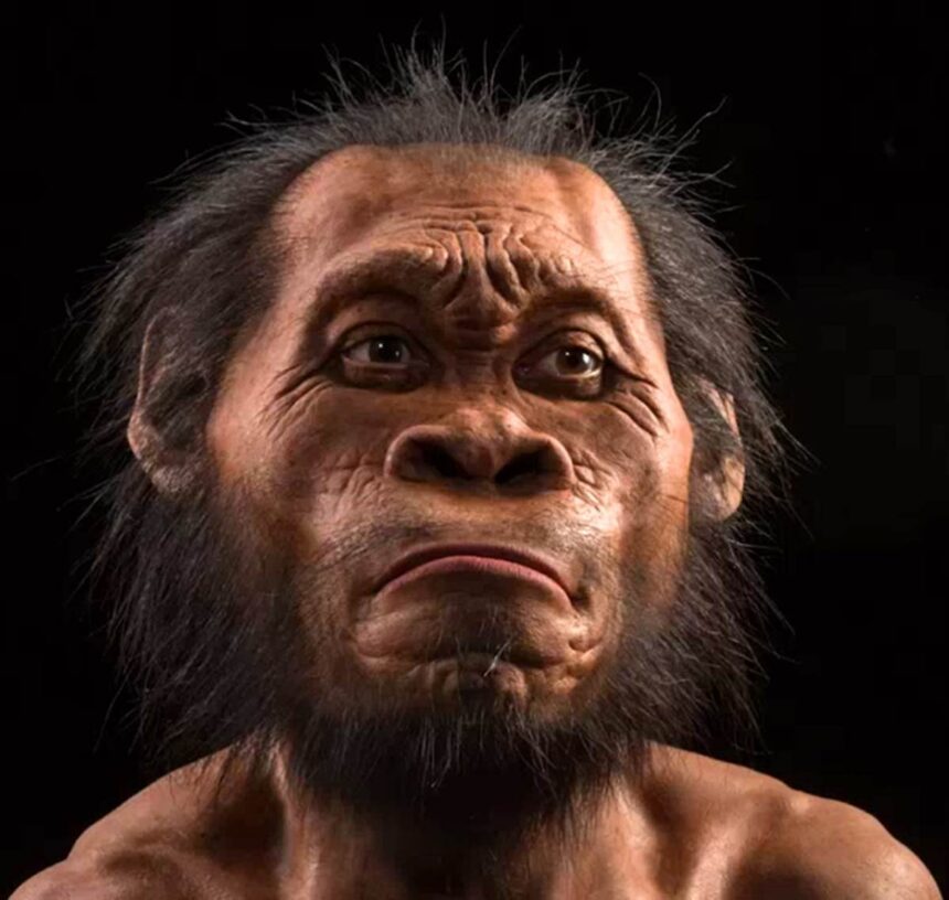 Homo naledi