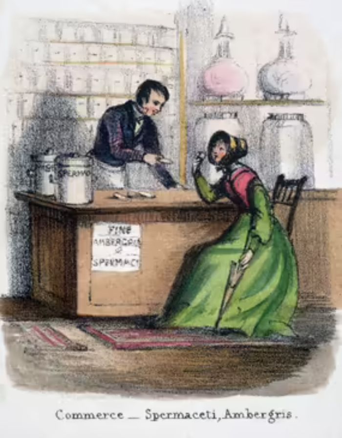1845 illüstrasyonu ambergris içeren parfüm satın alan bir kadını gösterir.