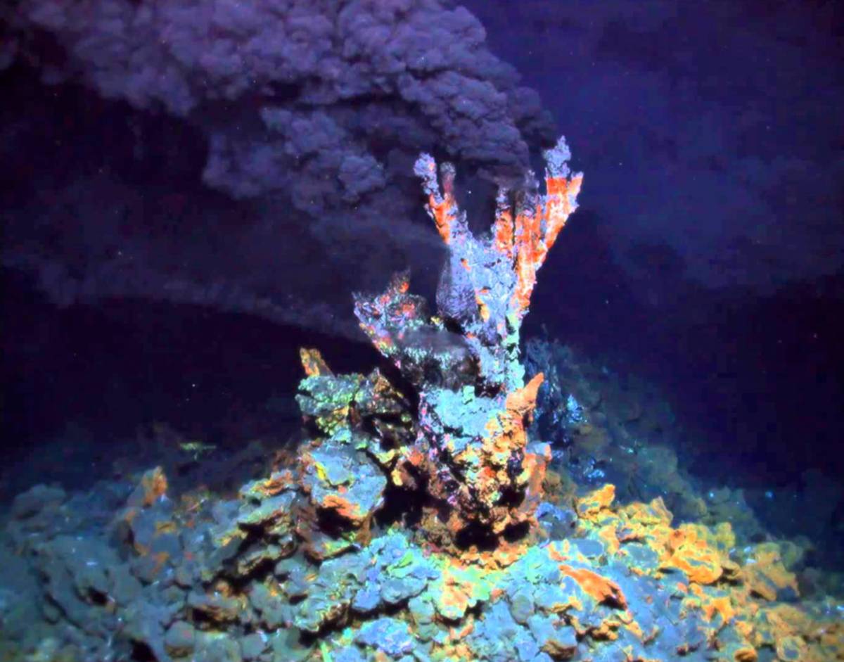 hidrotermal baca