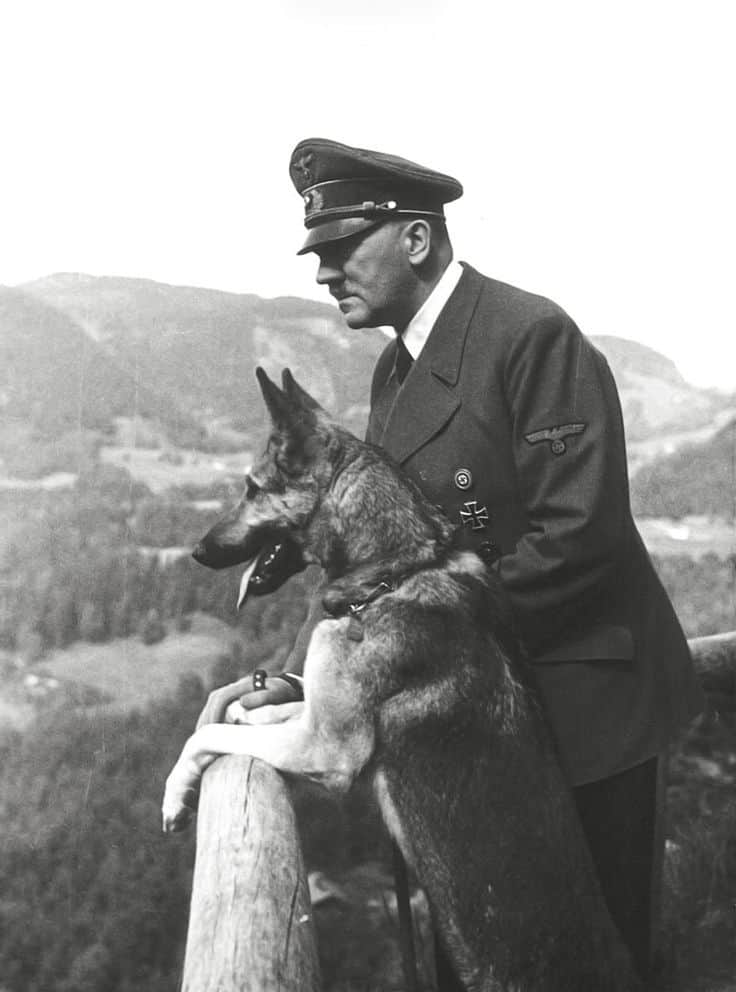 Adolf Hitler ve Alman çobanı Blondi, Eva Braun tarafından Berghof'ta çekilen bir fotoğraf